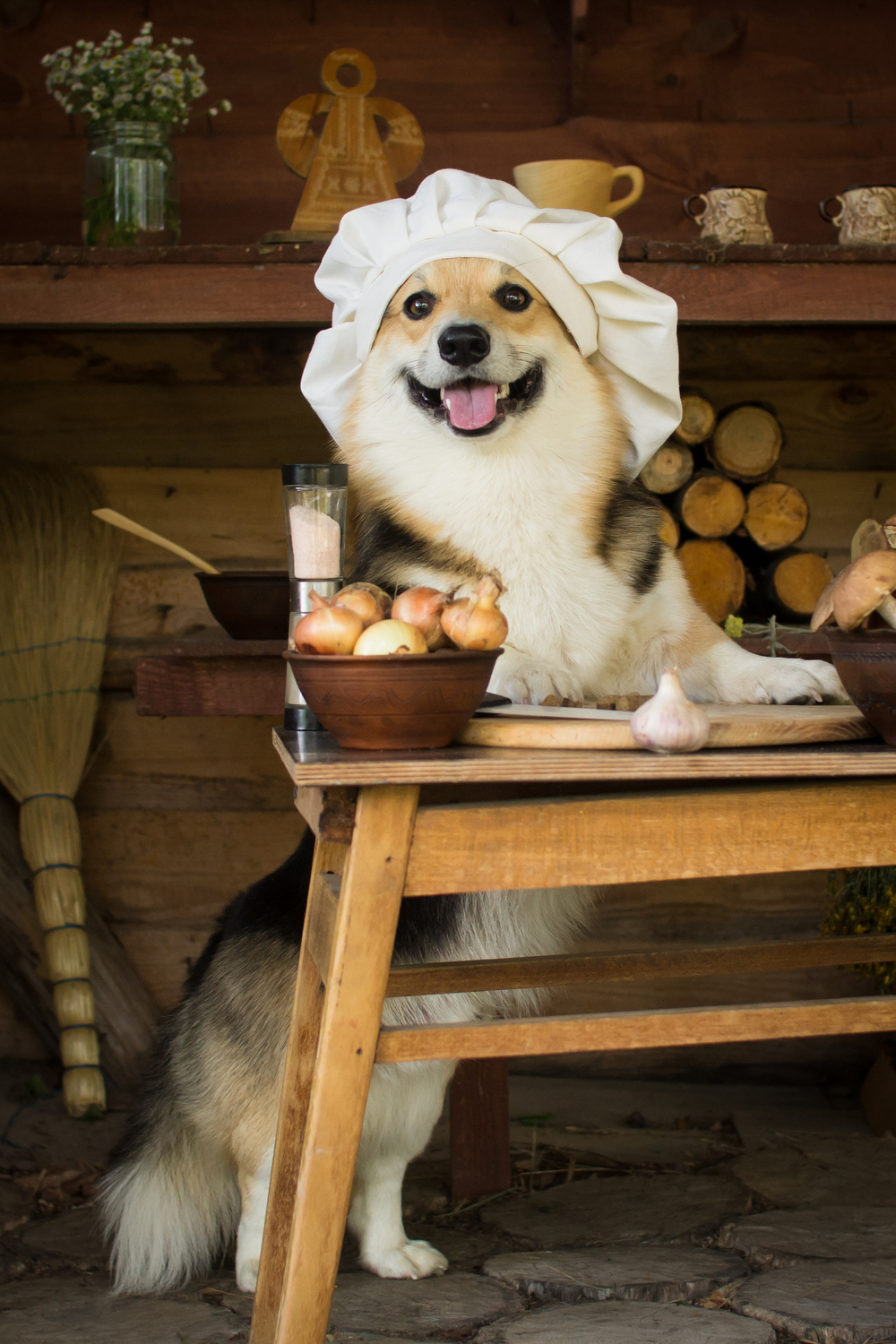 Can dogs eat cooked onions And what about related foods