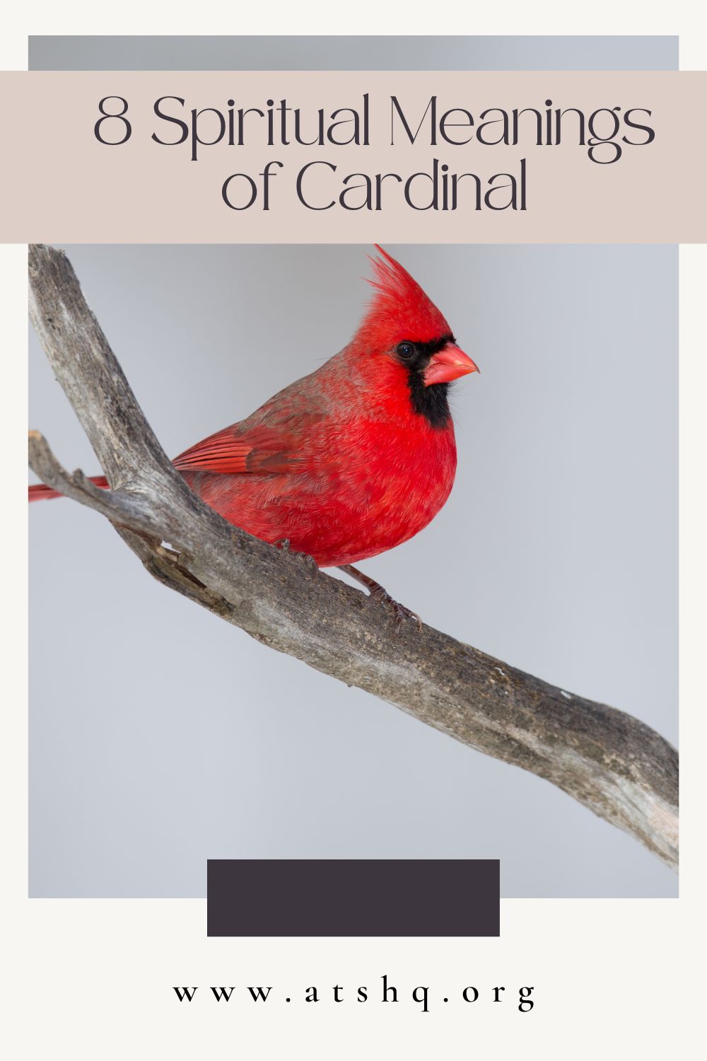 Cardinal Meanings