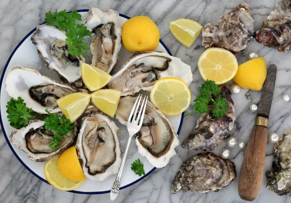 What Oysters Are Bred For Food?