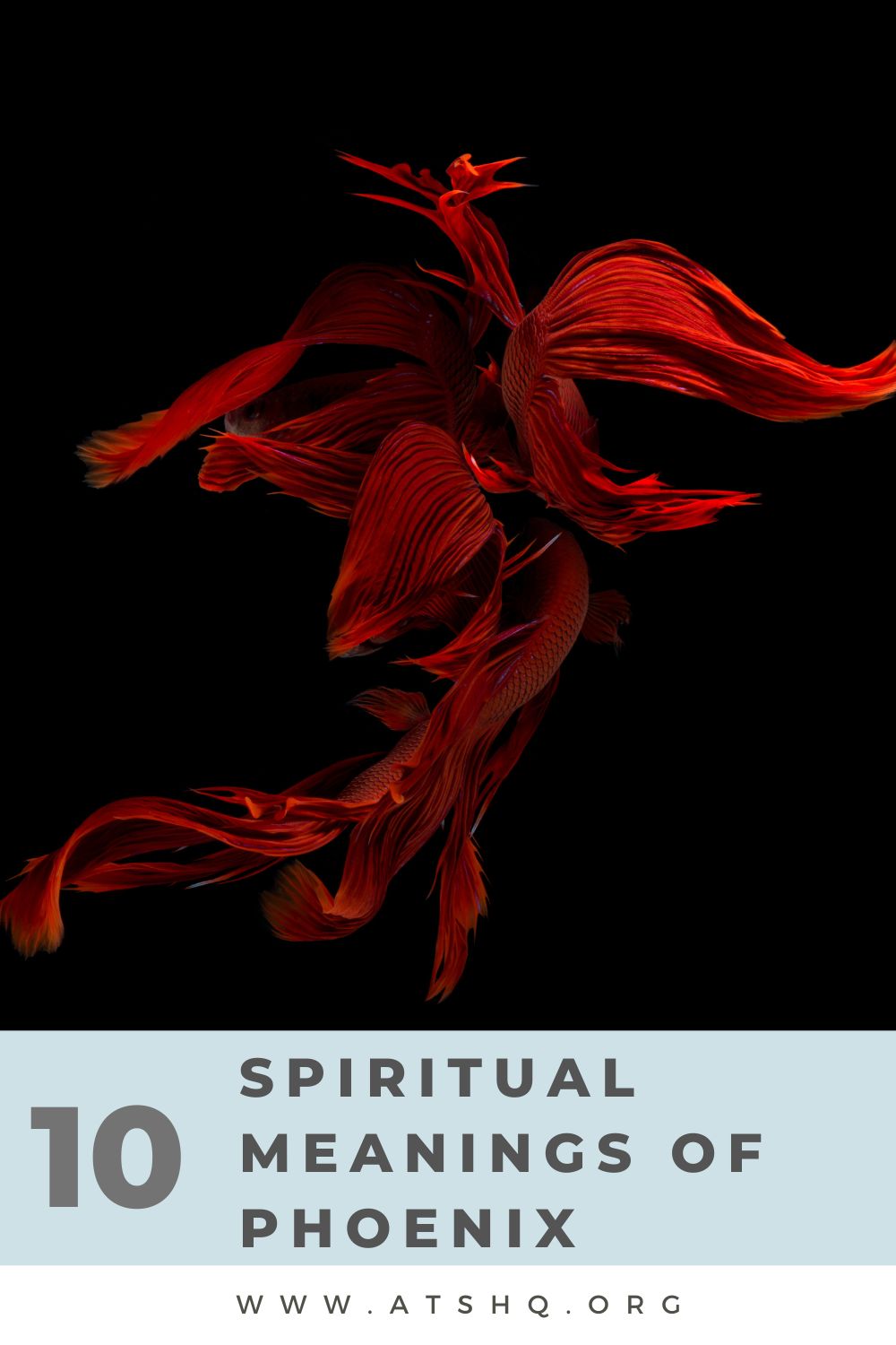 10 Spiritual Meanings of Phoenix