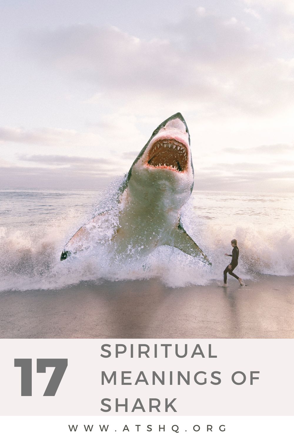 17 Spiritual Meanings Of Shark