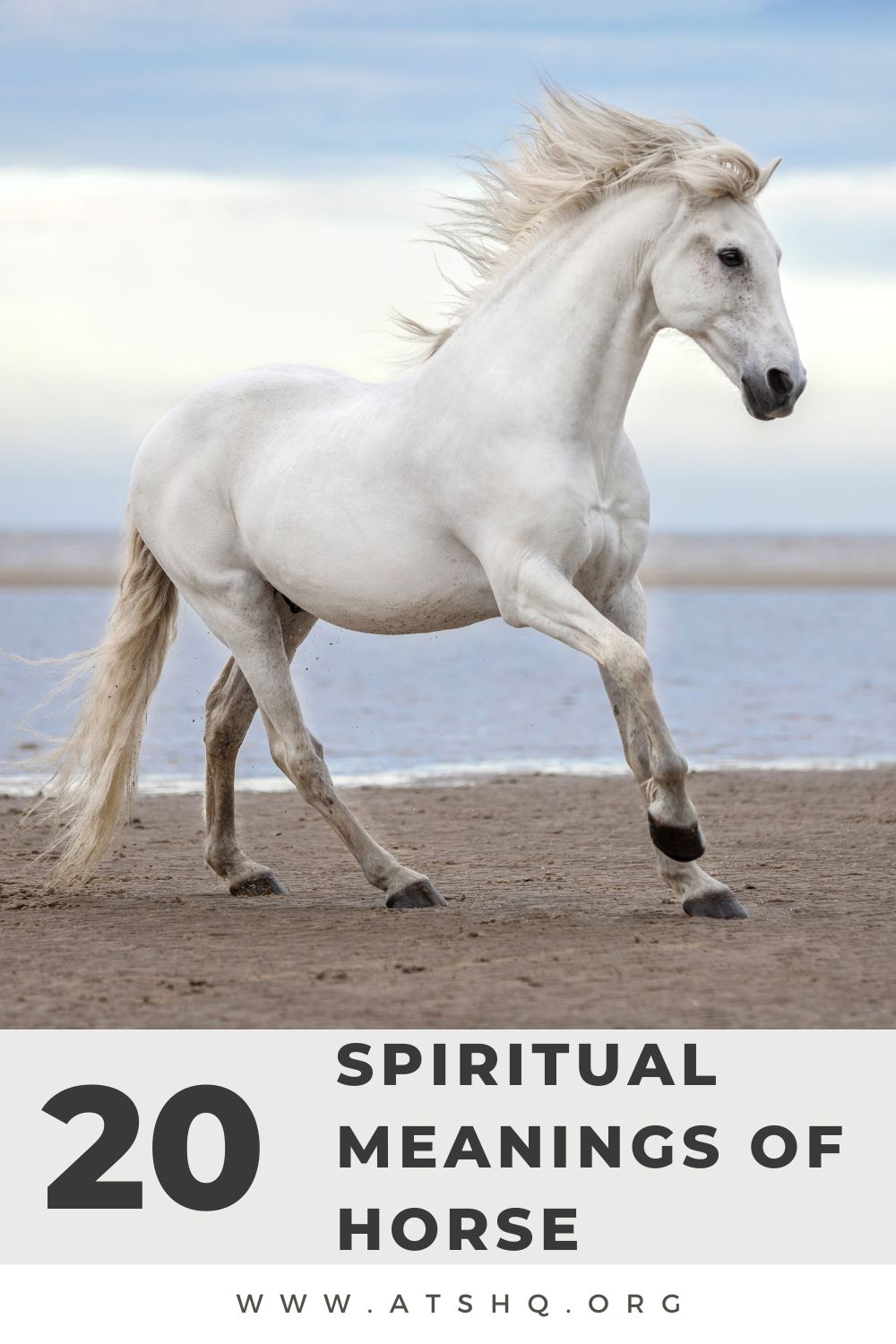 20 Spiritual Meanings of Horse