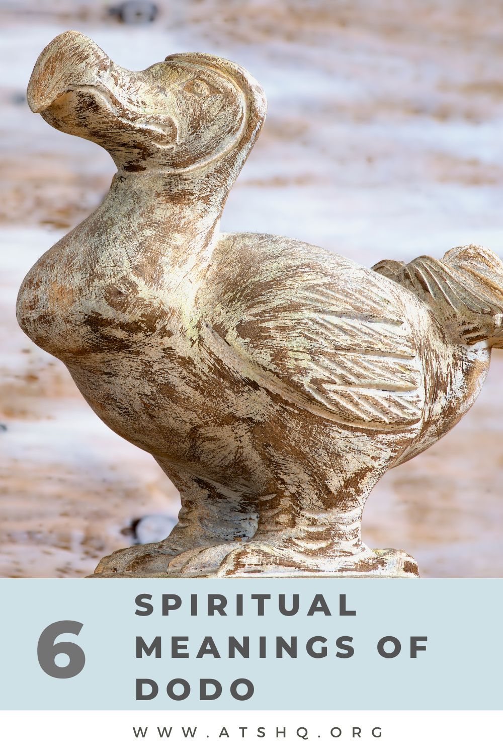 6 Spiritual Meanings of Dodo
