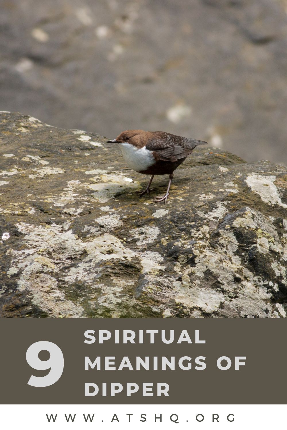 9 Spiritual Meanings of Dipper