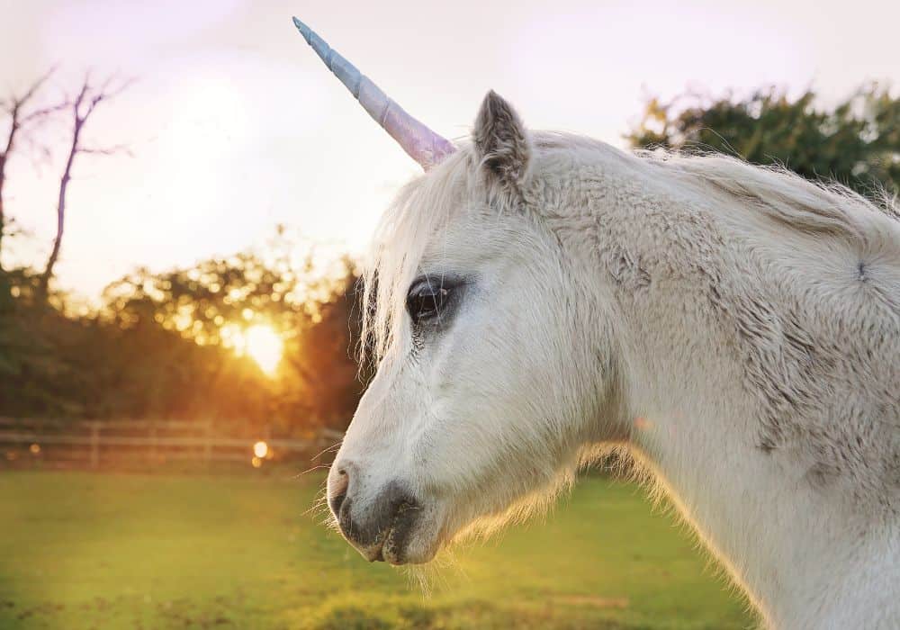 Unicorn Symbolism: 11 Spiritual Meanings Of Unicorn