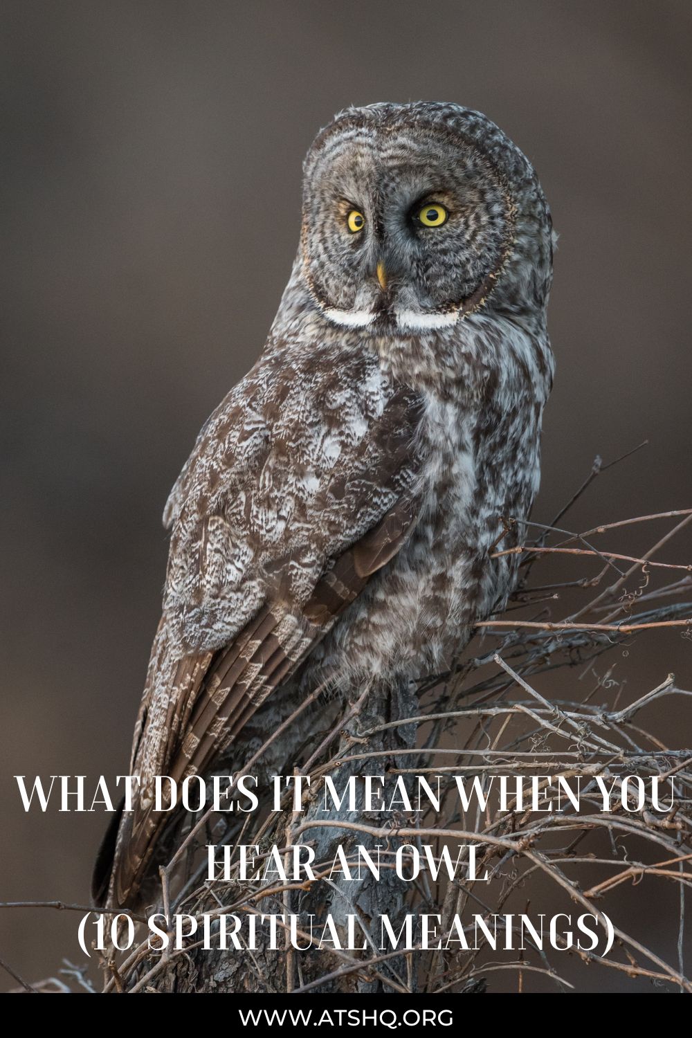 What does it mean when you hear an owl?