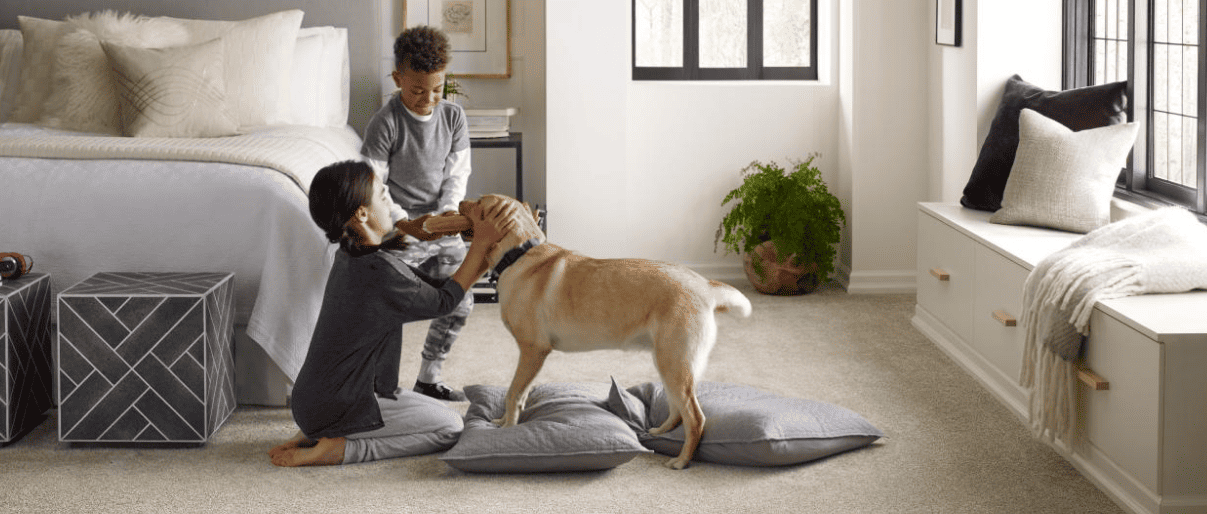 10 Ways to Create a Pet-Friendly Home for a Happy and Content Pet